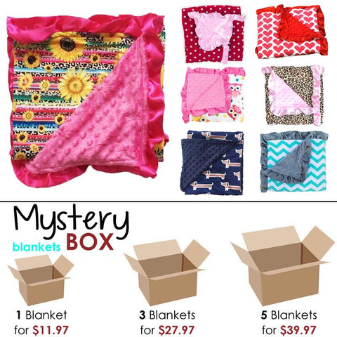 Minky Blanket Mystery Box